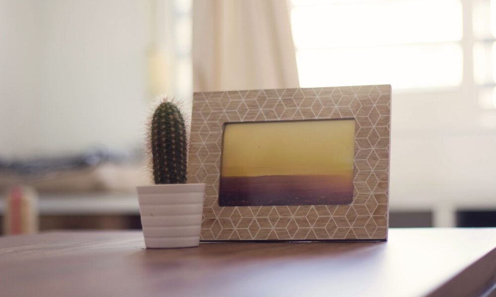 Cactus and photo frame with photography