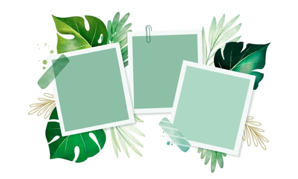 A collage of three square photo frames amidst tropical leaves